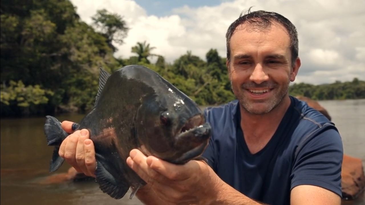 Pesca De Piranha No Rio Amazonas foto 2