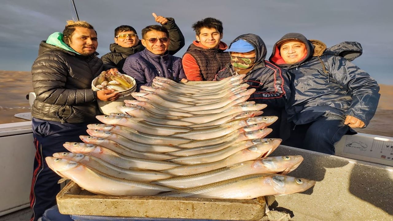 Pesca En El Rio De La Plata (3)