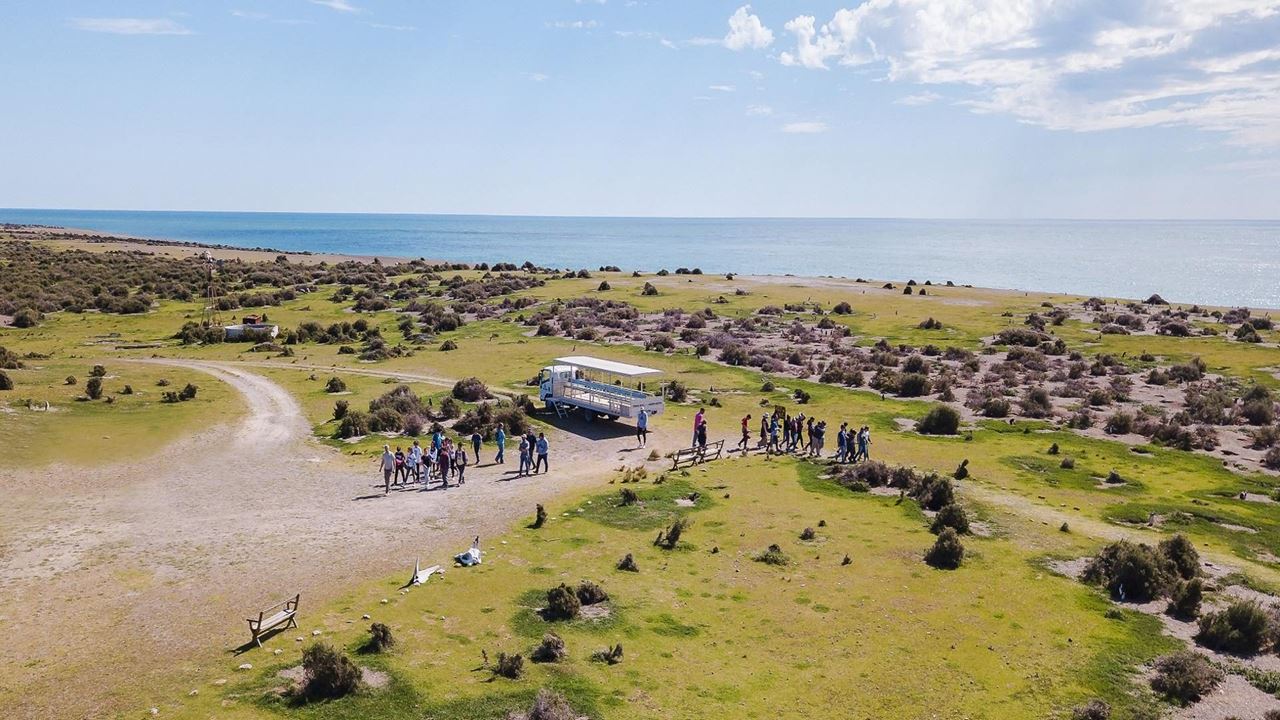Penguins At Estancia San Lorenzo In Peninsula Valdés (7)