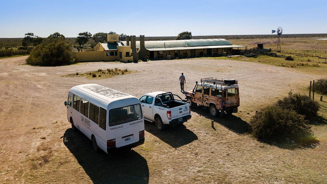 Penguins At Estancia San Lorenzo In Peninsula Valdés (4)