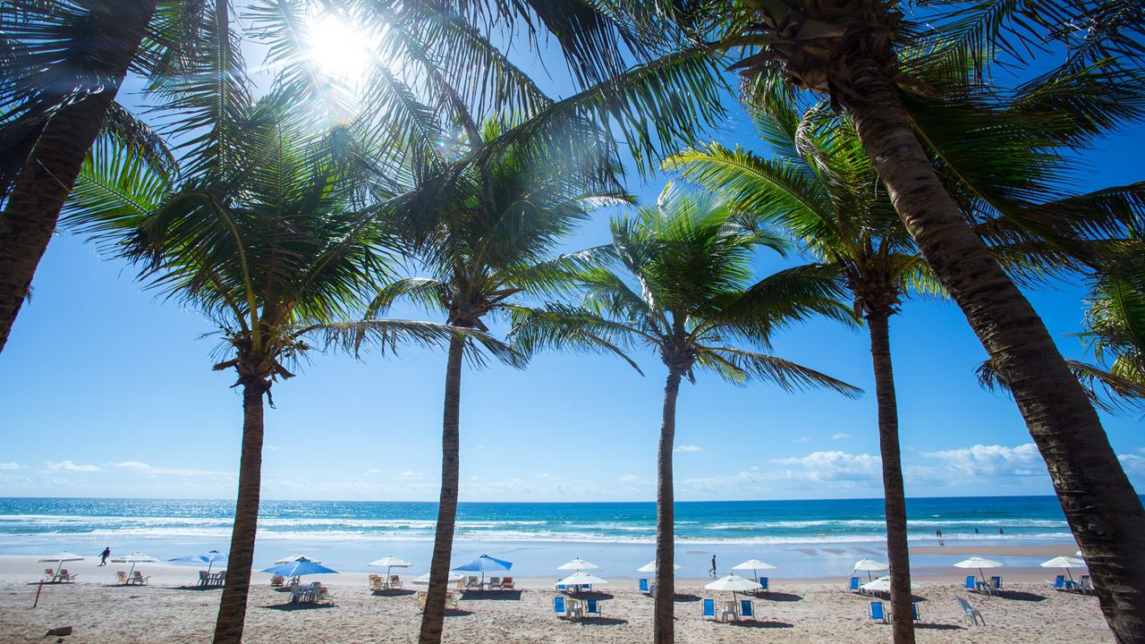 Praia Do Forte Y Playa De Guarajuba En El Día foto 6