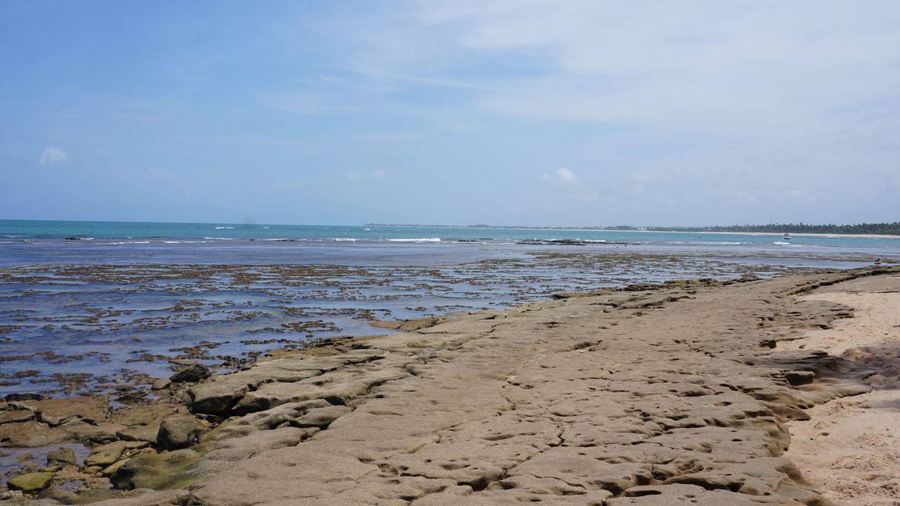 Praia Do Forte Y Playa De Guarajuba En El Día foto 9