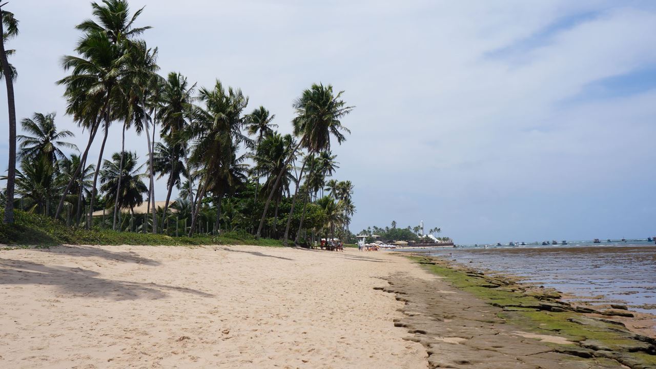 Praia Do Forte Y Playa De Guarajuba En El Día foto 10