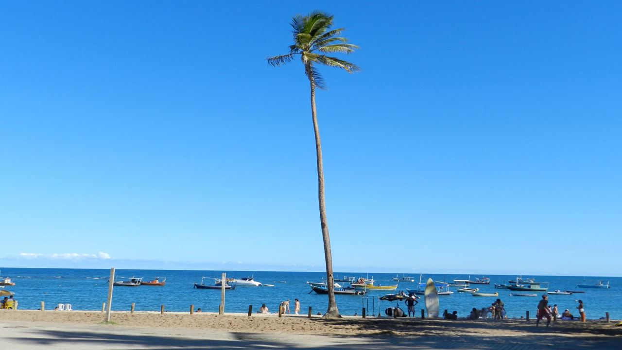 Praia Do Forte Y Playa De Guarajuba En El Día foto 11