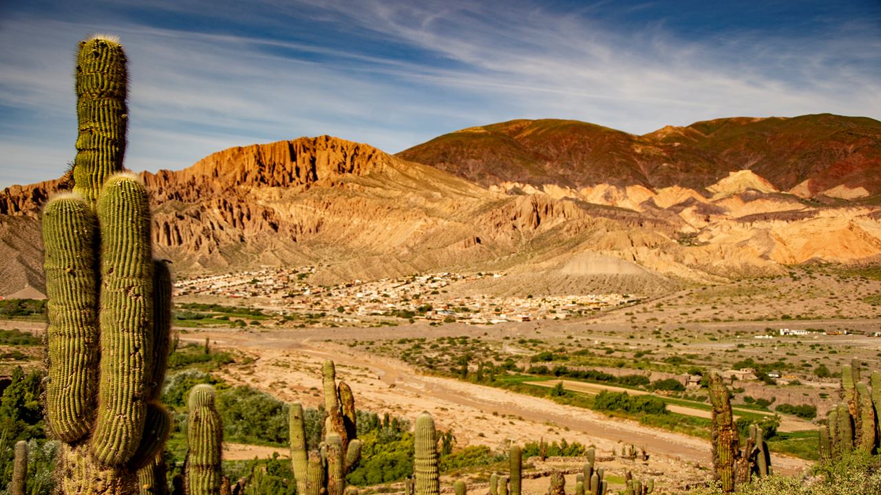 Brown Of Humahuaca By Purmamarca And Tilcara (3)
