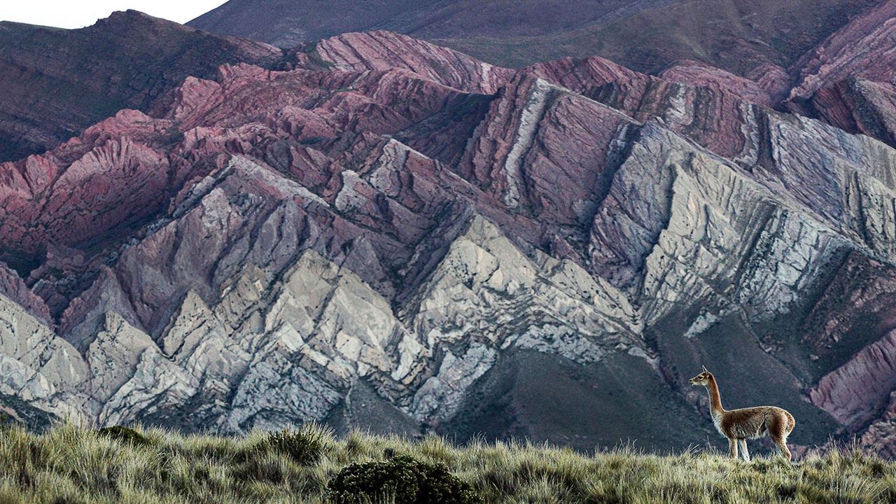 Quebrada De Humahuaca: Passeio Com Mirante El Hornocal foto 11