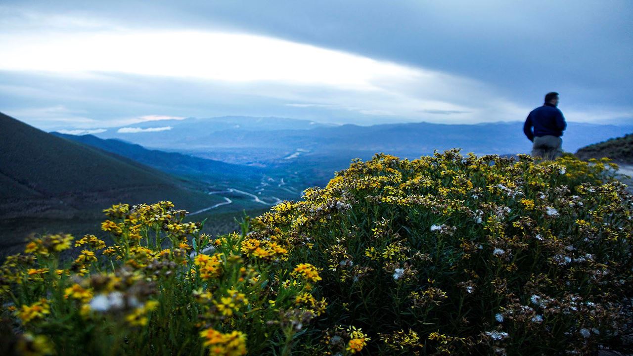 Quebrada De Humahuaca: Passeio Com Mirante El Hornocal foto 10