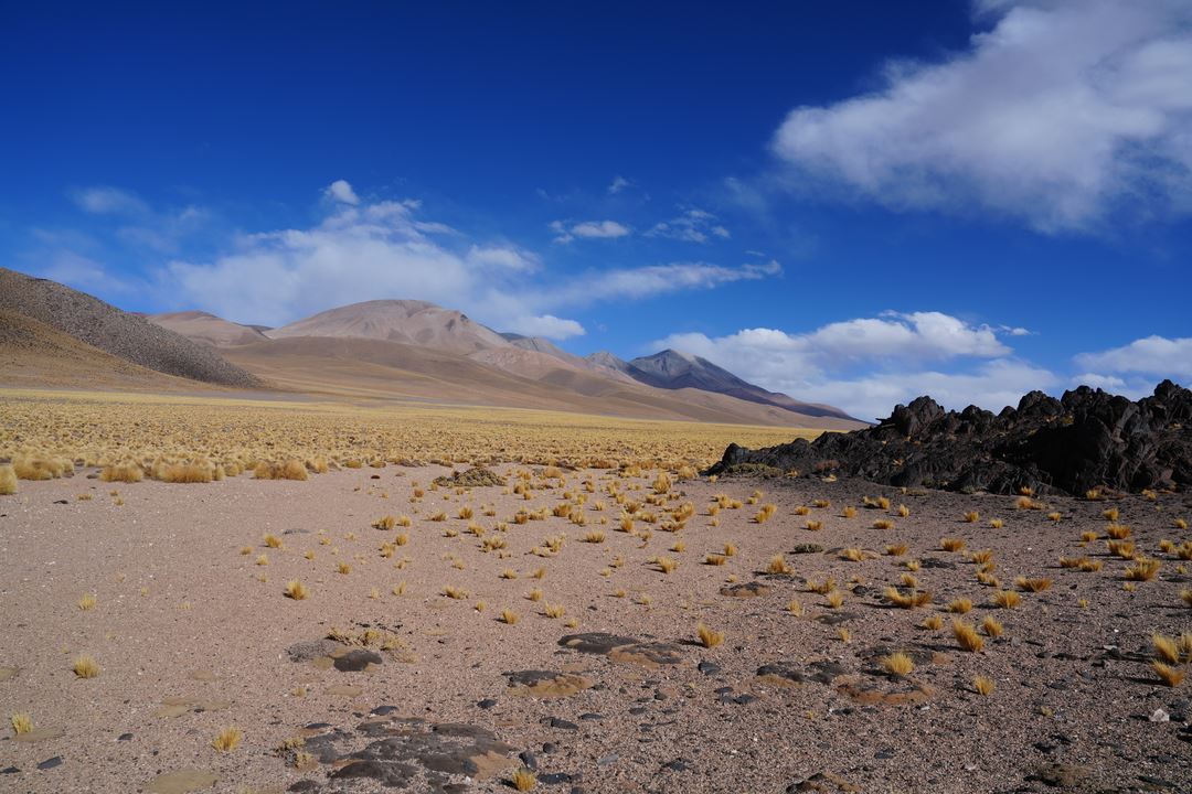 Recorrido 4x4 Al Cañon De Real Grande Y Volcan Galan foto 12