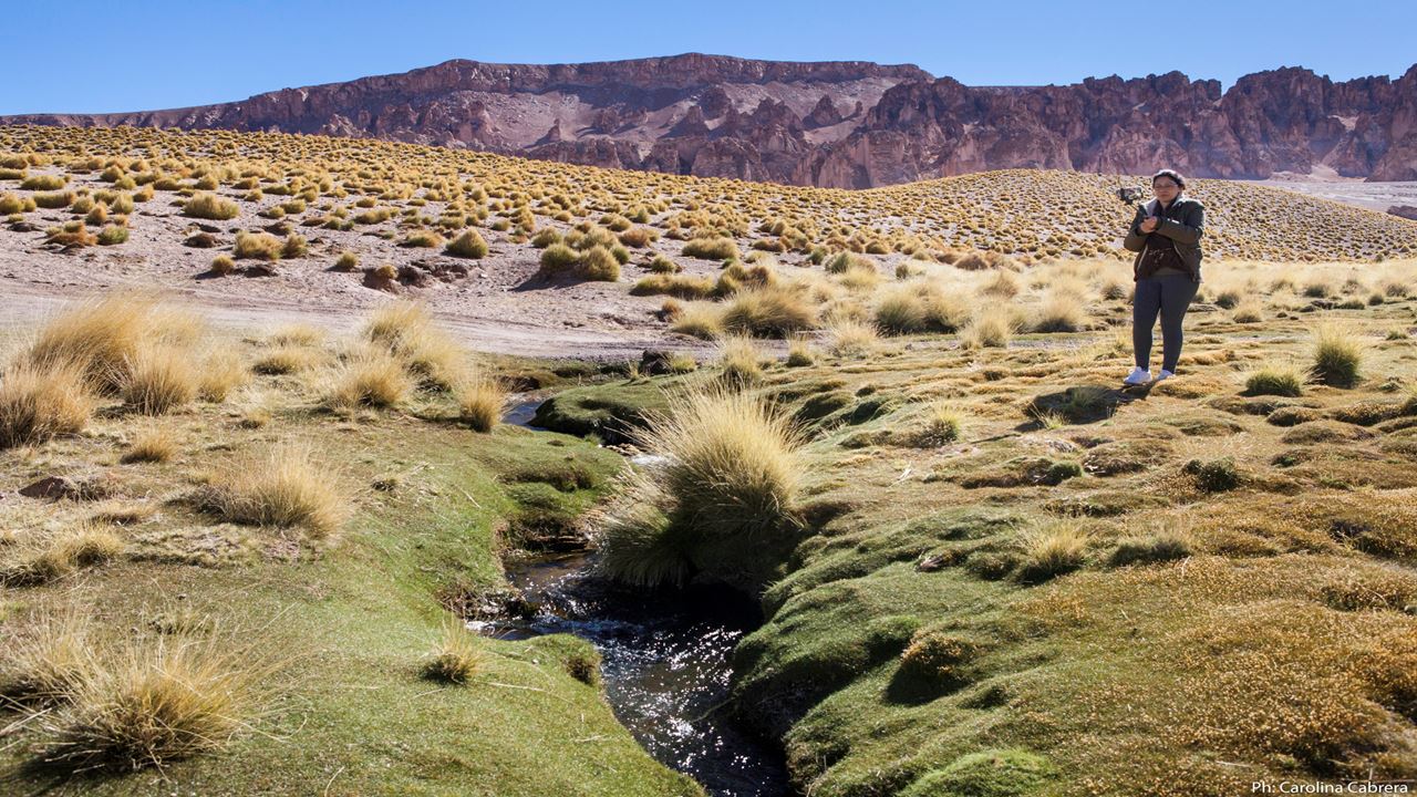 Recorrido 4x4 Al Cañon De Real Grande Y Volcan Galan foto 3