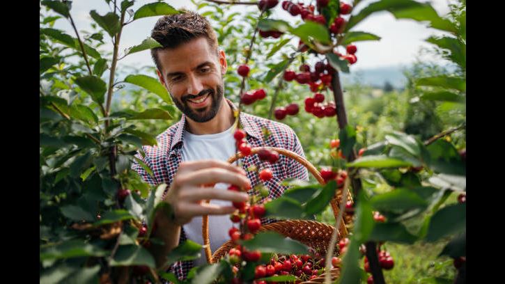 Recorrido Cafetero Tradicional foto 5