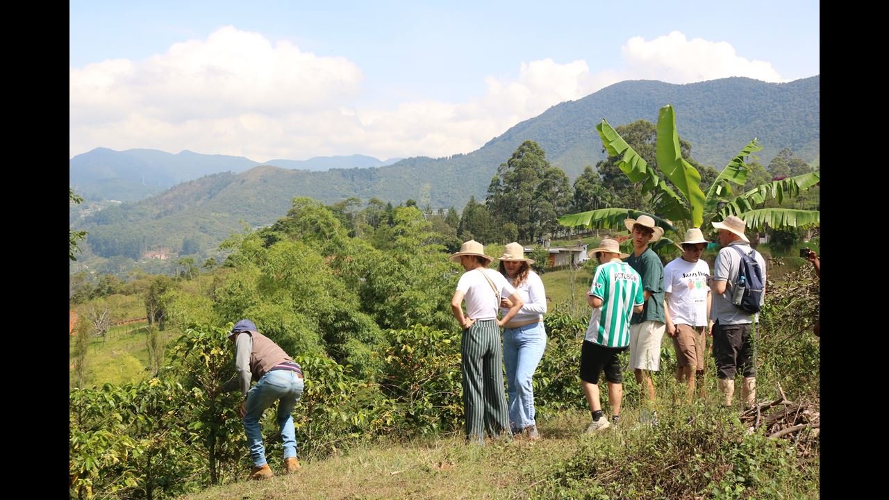 Recorrido Cafetero Tradicional foto 1
