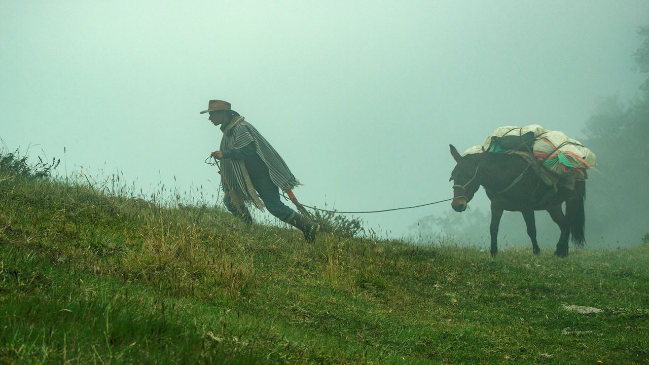 Recorrido De Un Día Al Santuario De La Flora Y Fauna Otún Quimbaya foto 4