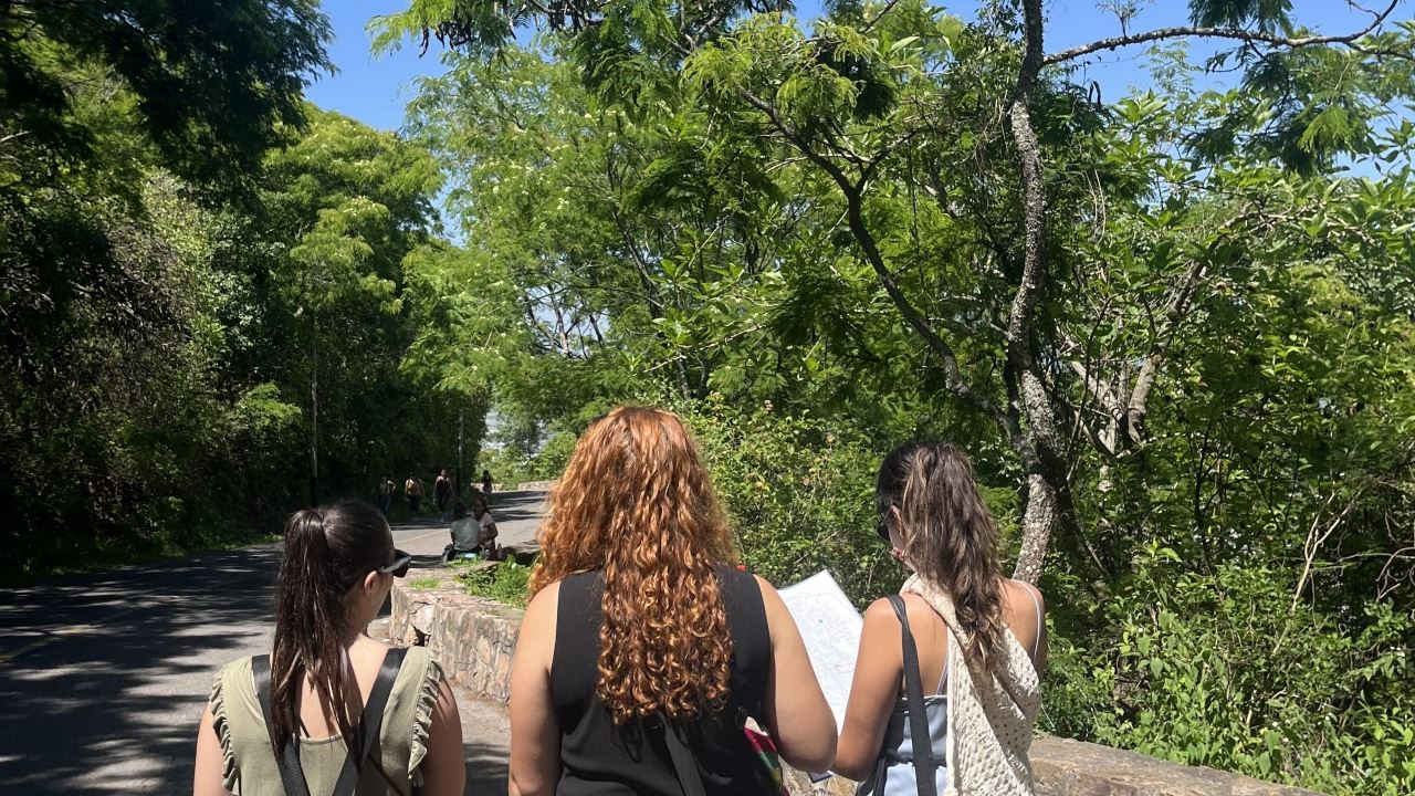 Recorrido Por La Ciudad En Privado (5)