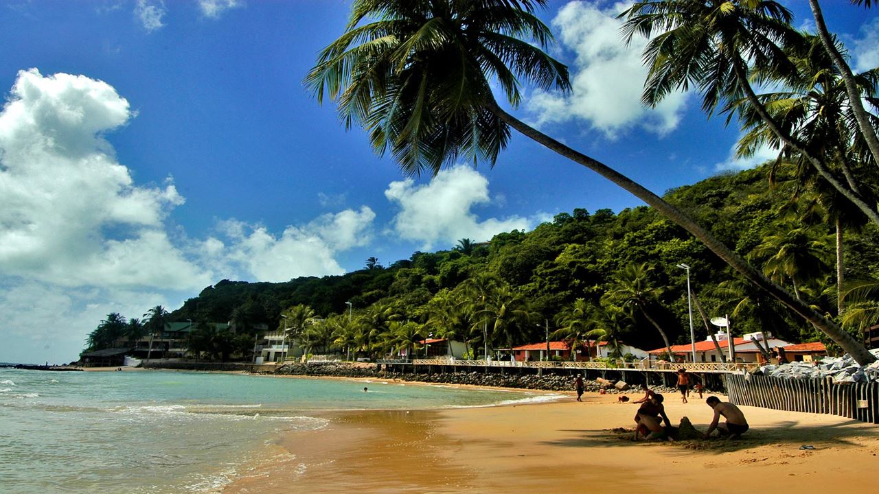 South Coast And Arituba Lagoon Tour foto 4