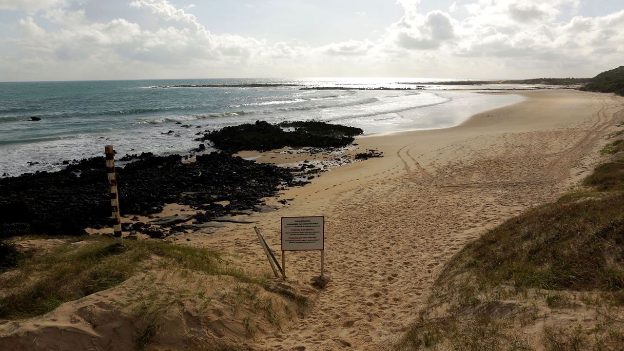 South Coast And Arituba Lagoon Tour foto 3