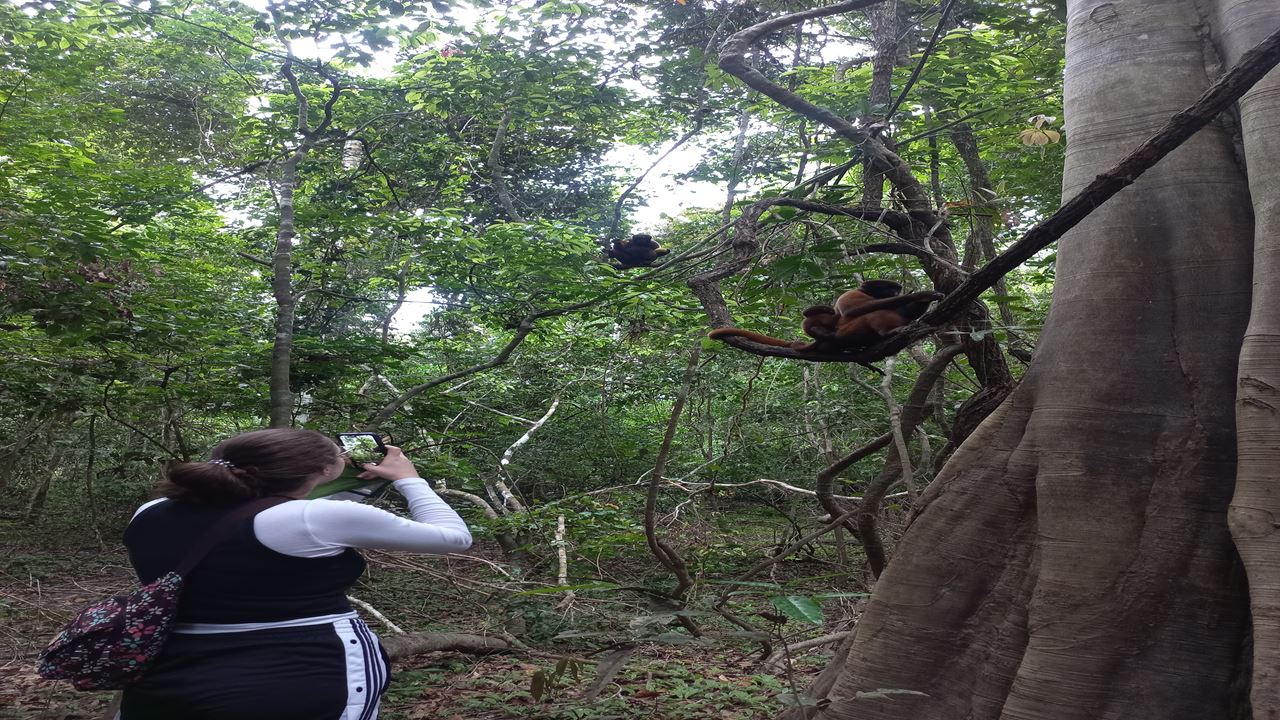 Pacaya Samiria National Reserve foto 1