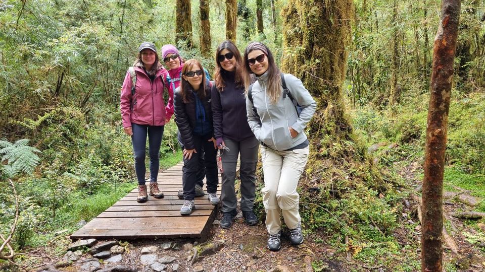 Rota Ancestral Alerce E Lagoa Chaiquenes: Trekking Ao Parque Nacional Alerce Andino foto 7