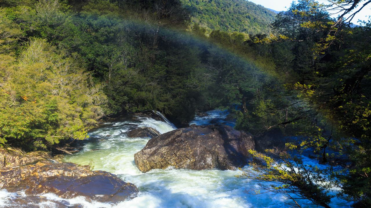 Rota Ancestral Alerce E Lagoa Chaiquenes: Trekking Ao Parque Nacional Alerce Andino foto 8