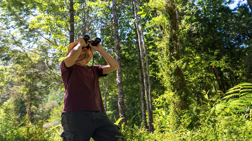 Rota Ancestral Alerce E Lagoa Chaiquenes: Trekking Ao Parque Nacional Alerce Andino foto 3