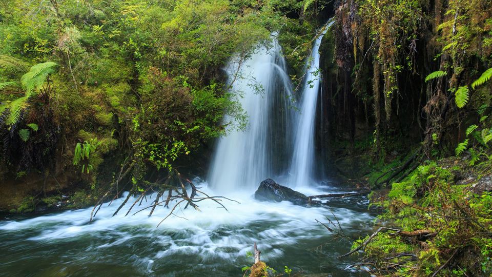 Rota Ancestral Alerce E Lagoa Chaiquenes: Trekking Ao Parque Nacional Alerce Andino foto 9