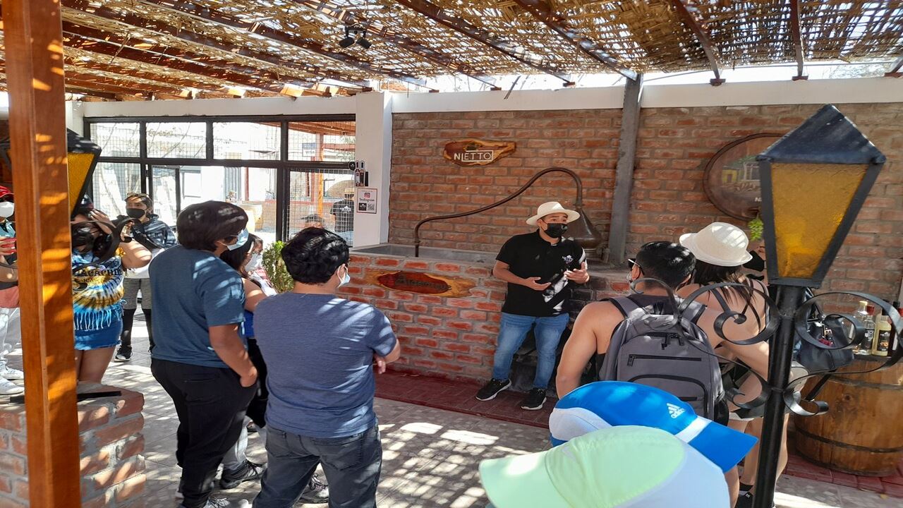 Rota Das Vinícolas E Vinhas De Pisco foto 3