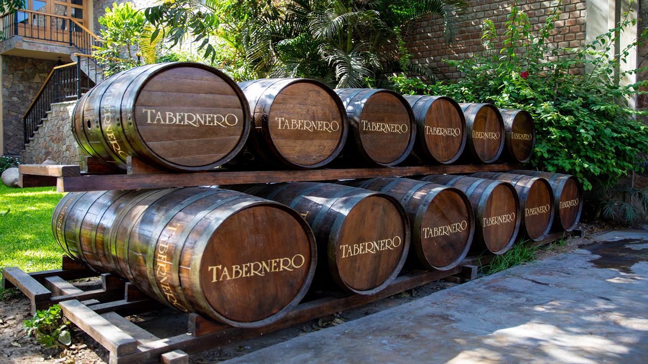 Rota Das Vinícolas E Vinhas De Pisco foto 2