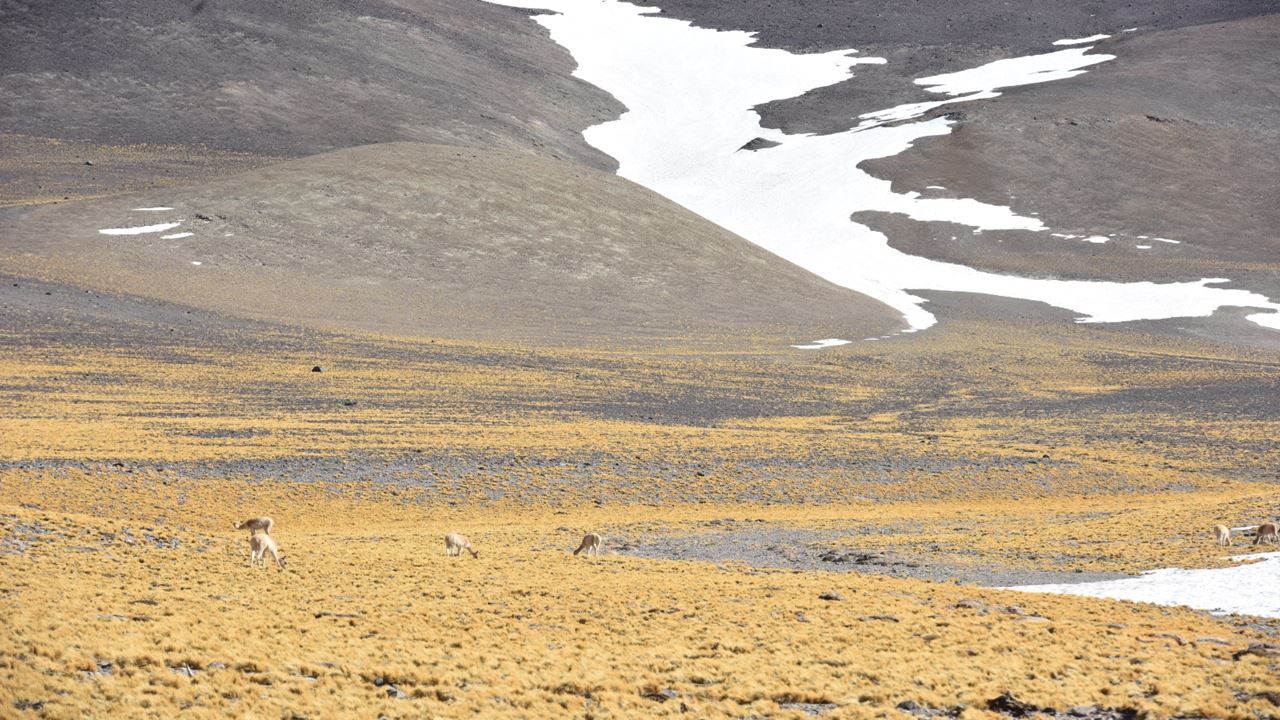 Route Of The Six-thousanders And Balcony Of Pissis Private foto 7