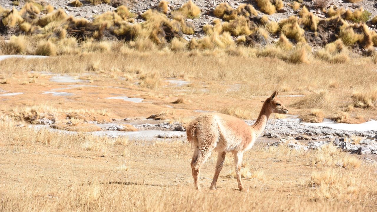 Route Of The Six-thousanders And Balcony Of Pissis Private foto 1