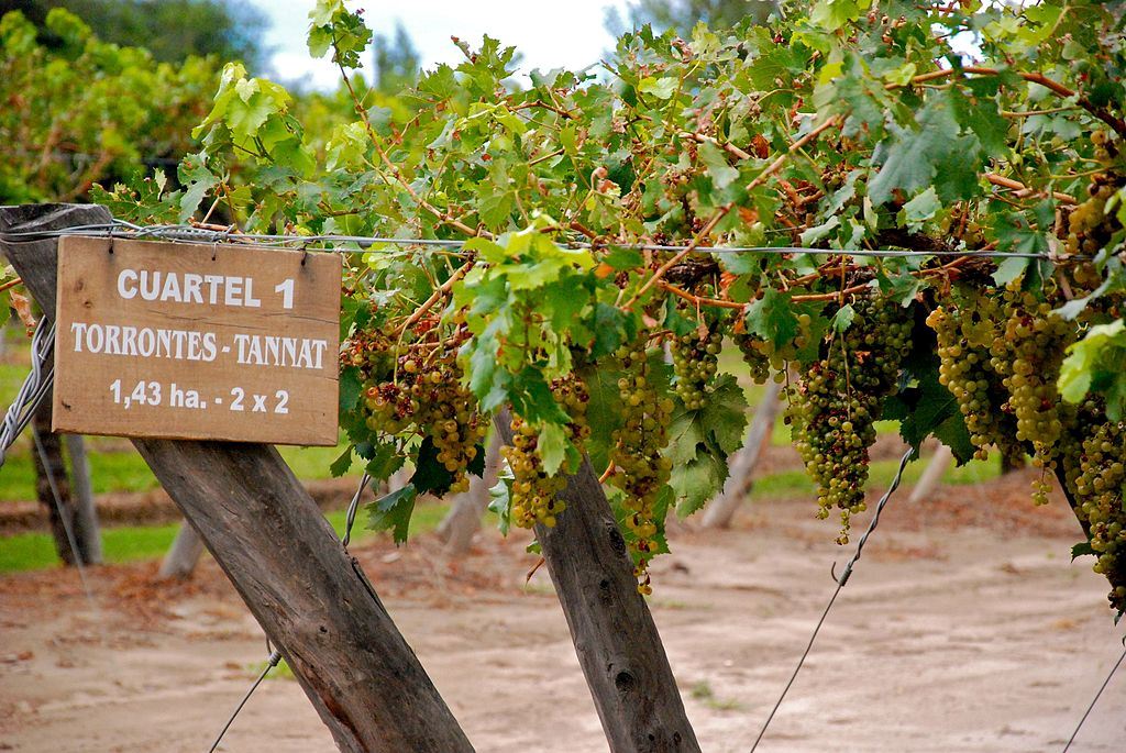 Wine Route (0)
