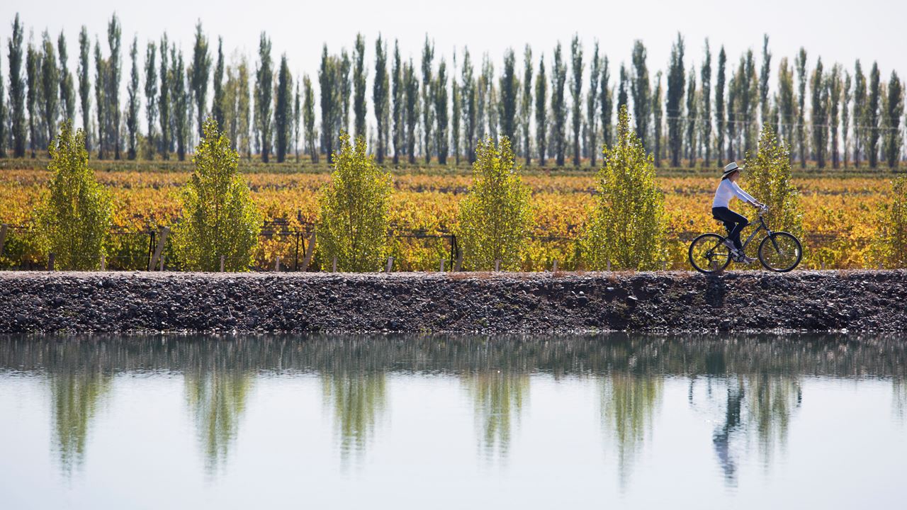 Wine Bicycle Route (3)