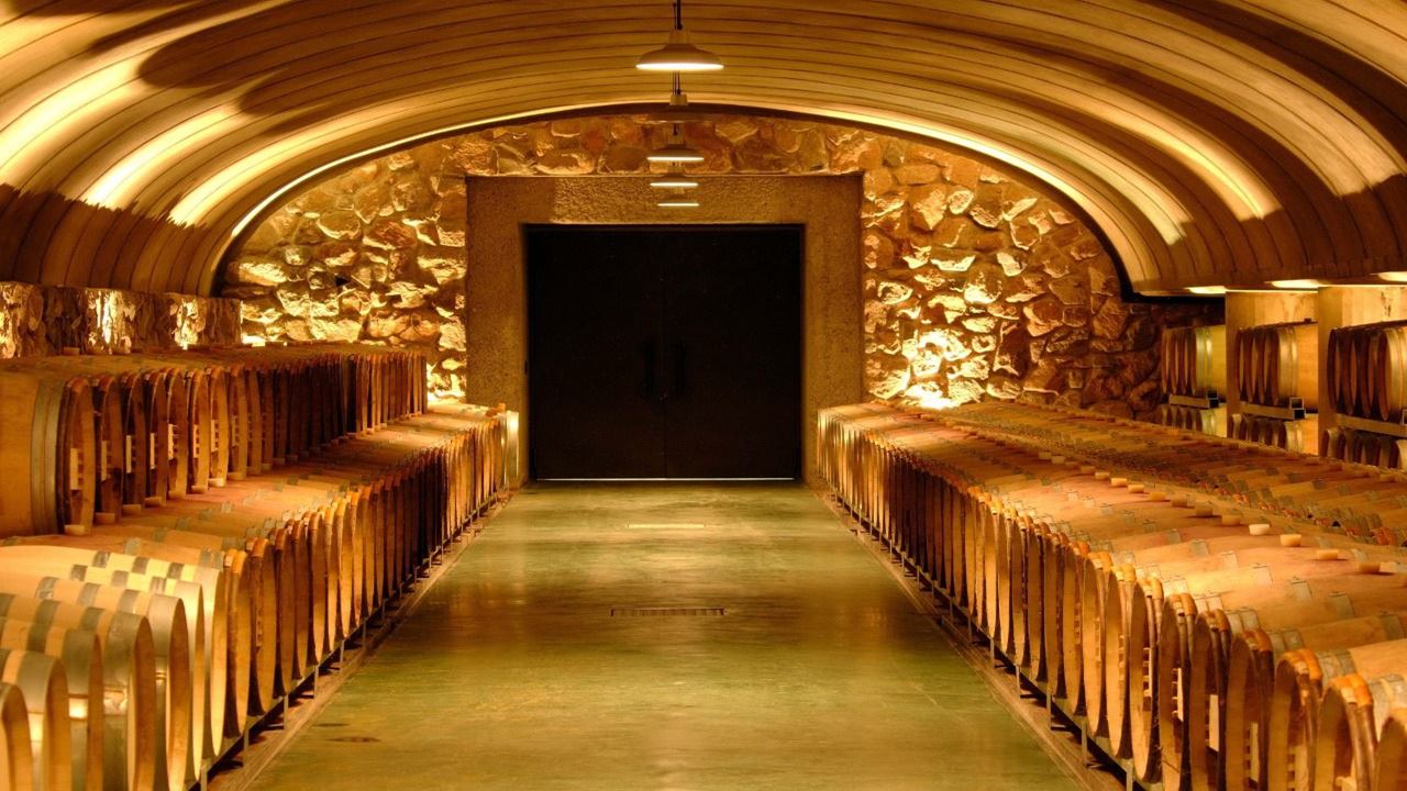 Wine Bicycle Route (6)