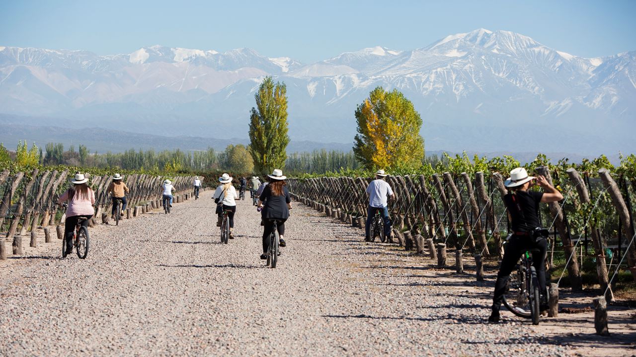 Bike Tour Through Wineries (1)