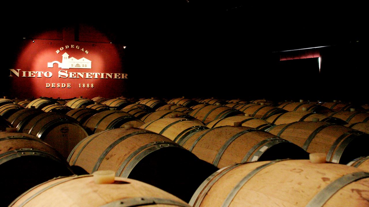 Bike Tour Through Wineries (3)