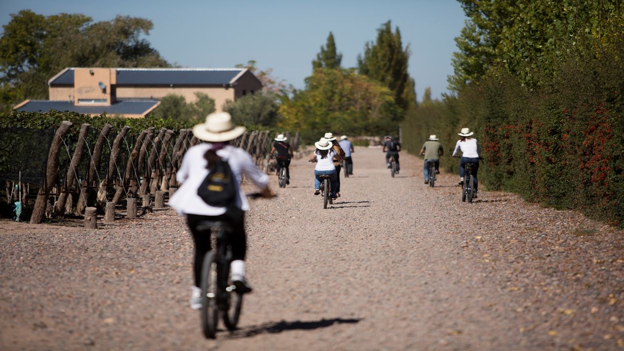 Bike Tour Through Wineries (2)