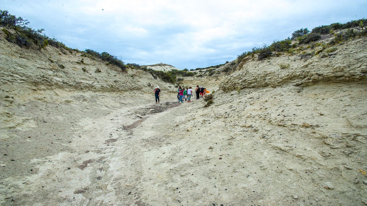 Safari 4x4 E Sandboard Caminho De Los Pulperos foto 7