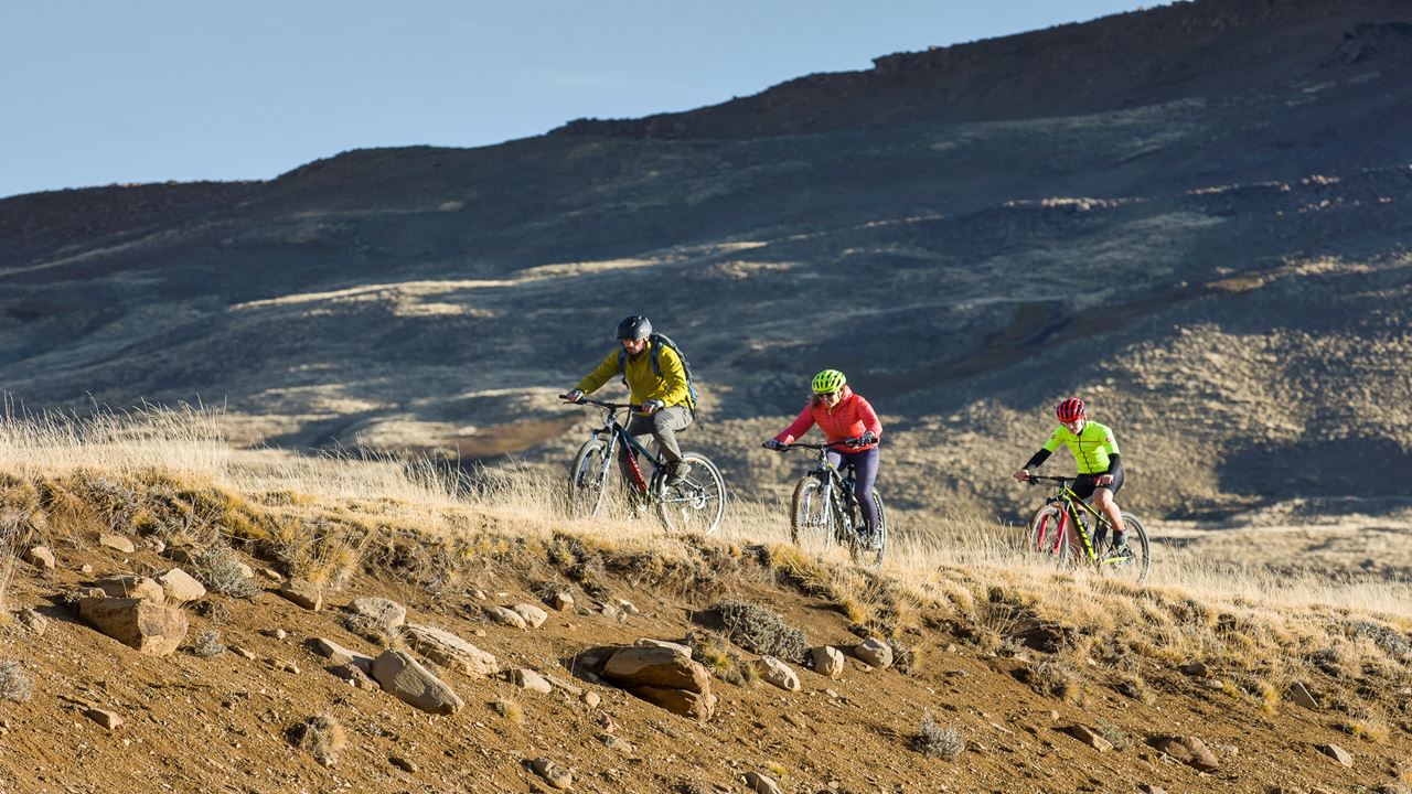 Safari Bike Experience - Fauna And Steppe (1)