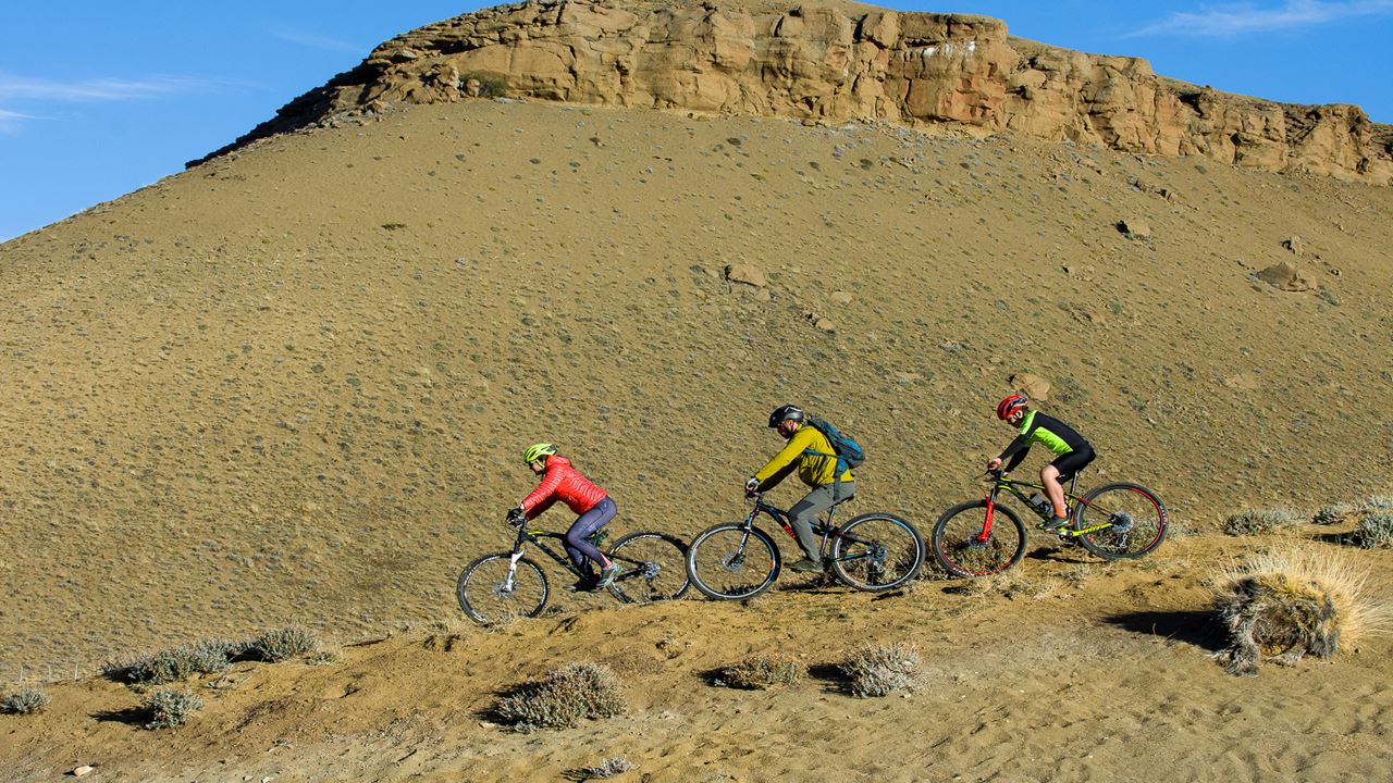 Safari Bike Experience - Fauna And Steppe (11)