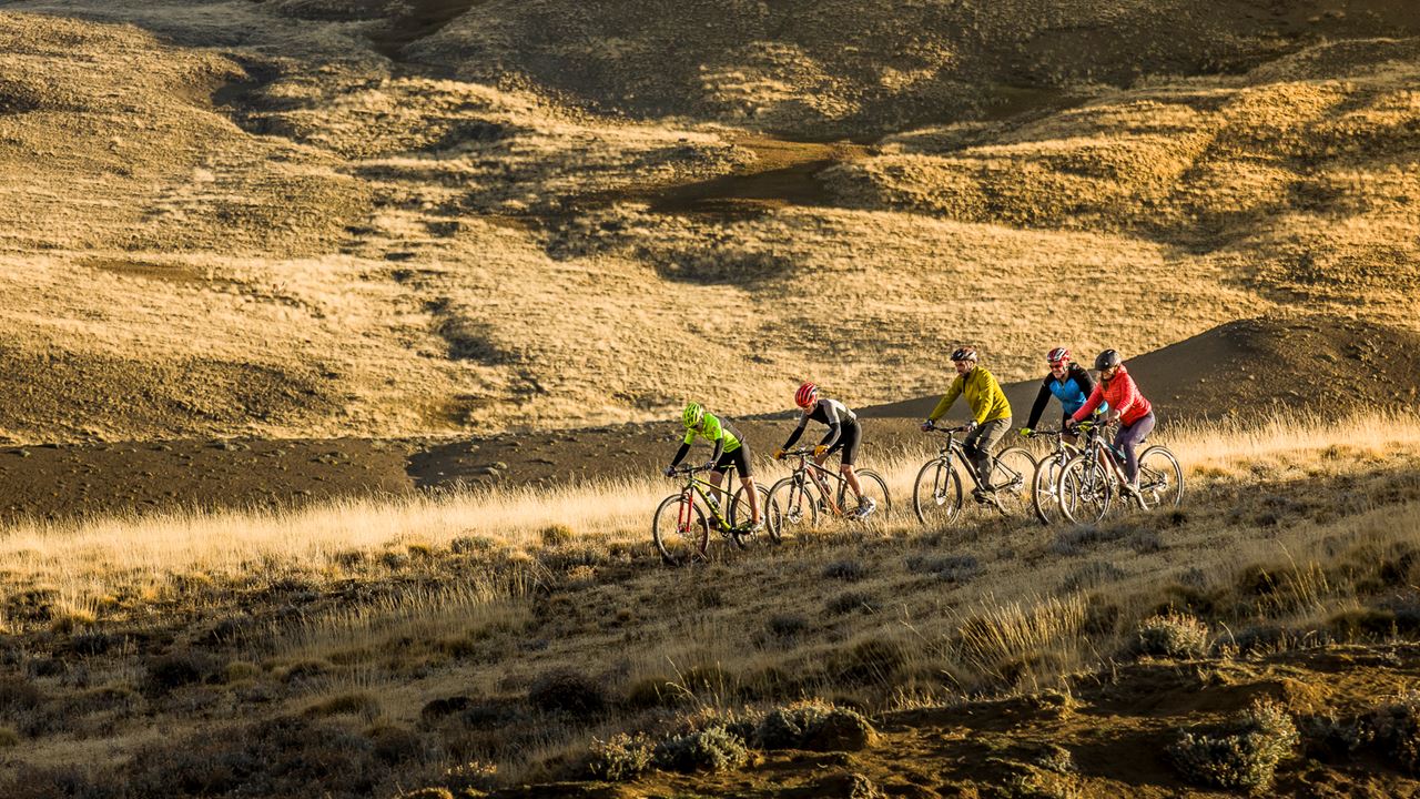 Safari Bike Experience - Fauna And Steppe (5)