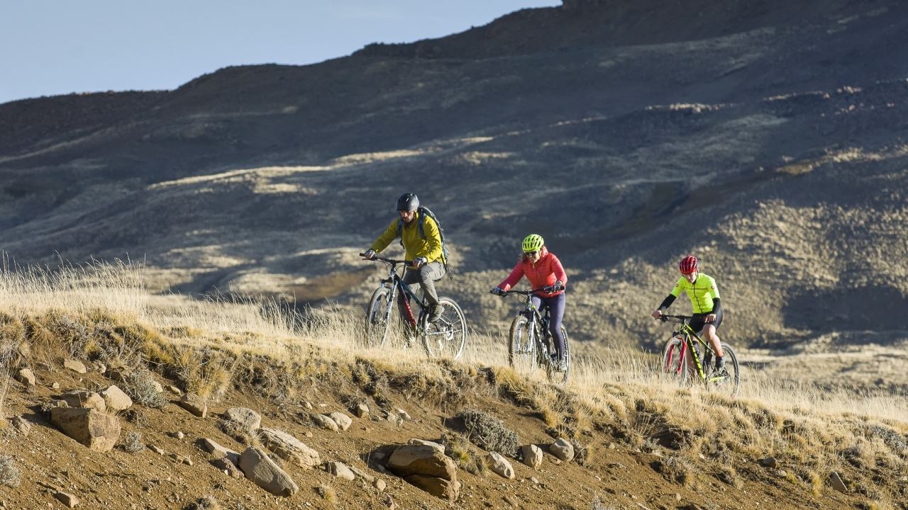 Safari Bike Experience - Fauna And Steppe (7)