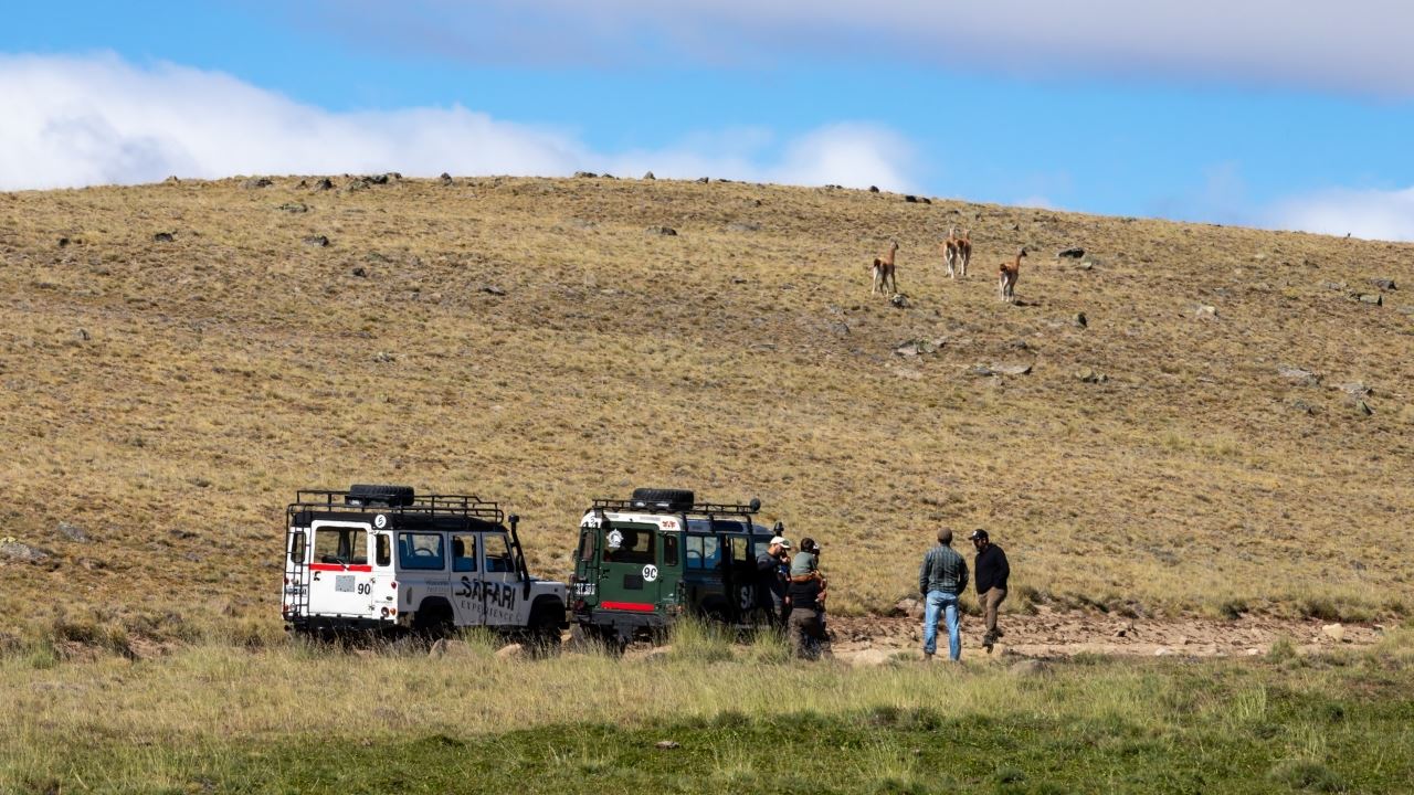 Safari Experience - Fauna Steppe (11)