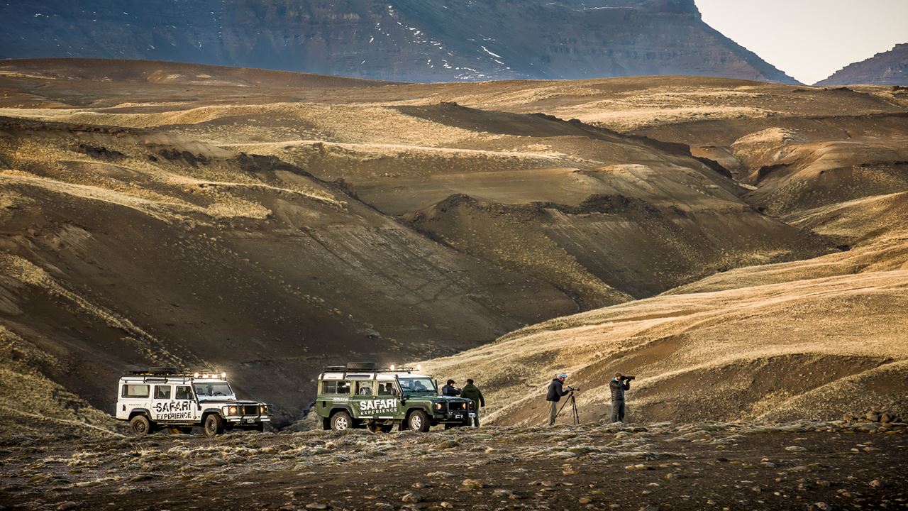 Safari Experience - Fauna Steppe (6)