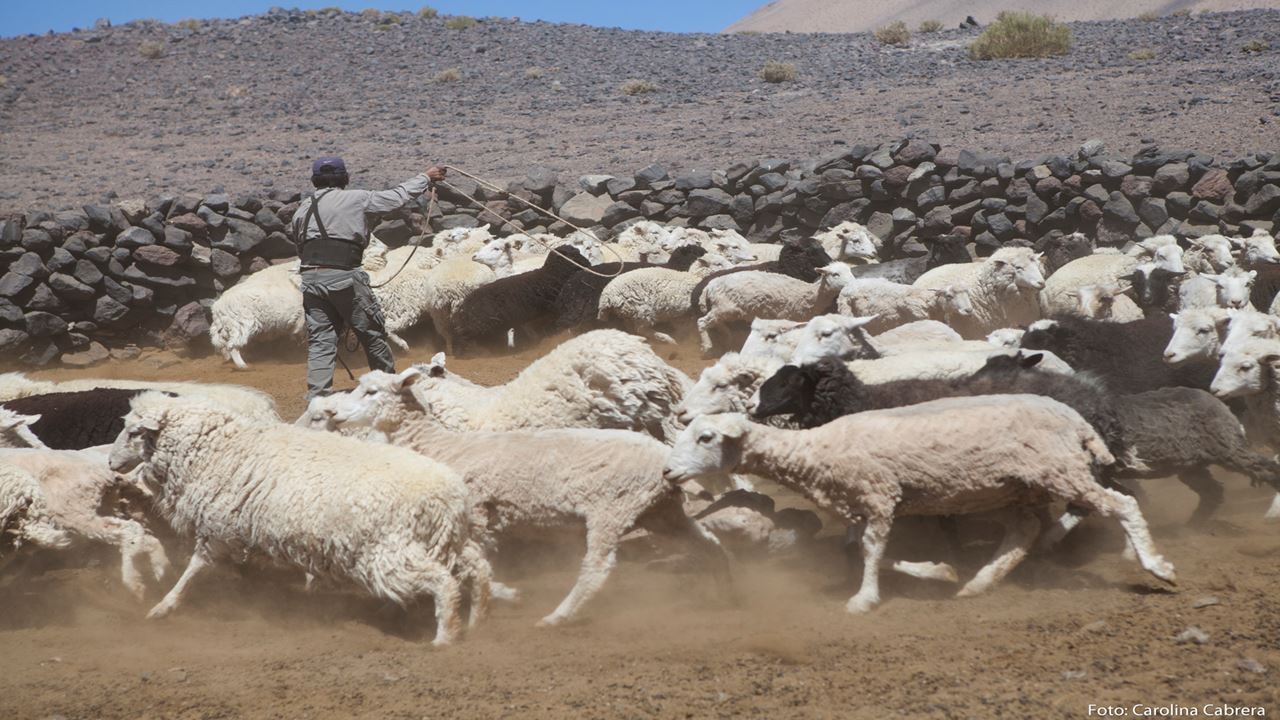 Antofalla Salt Flat In 4x4 foto 6