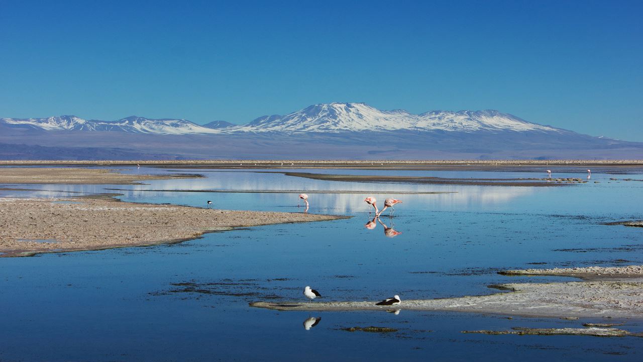 Salar De Atacama E Vila De Toconao (6)