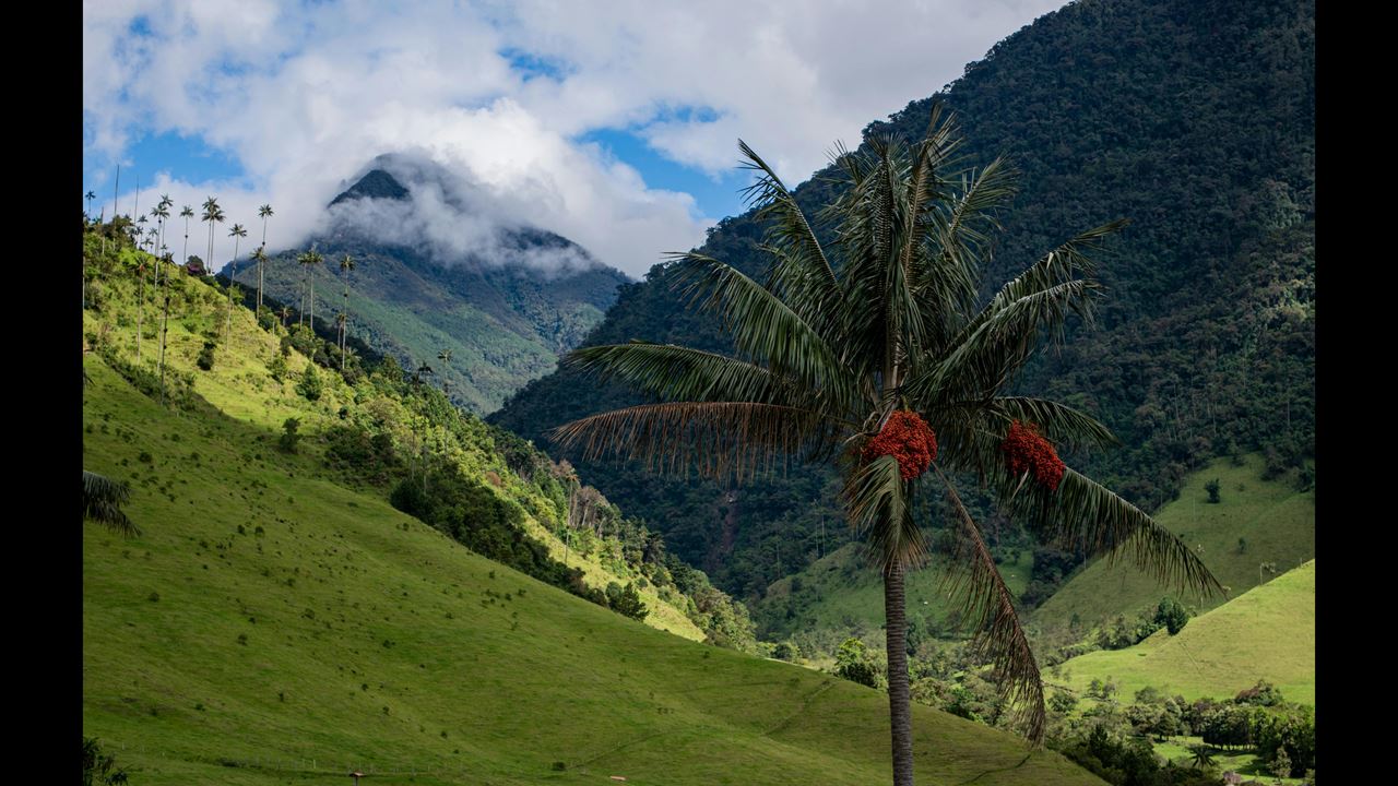 Senderismo En Valle De Cocora foto 6
