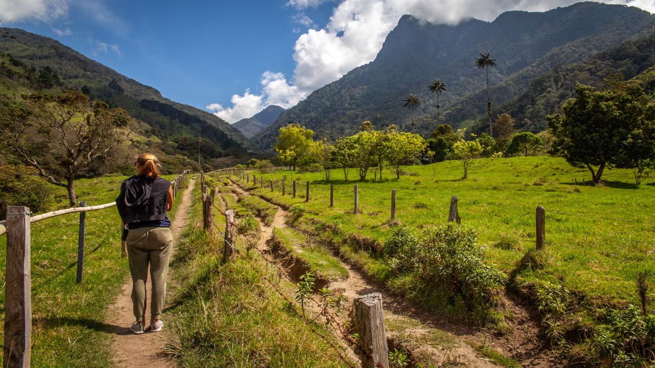 Senderismo En Valle De Cocora foto 3