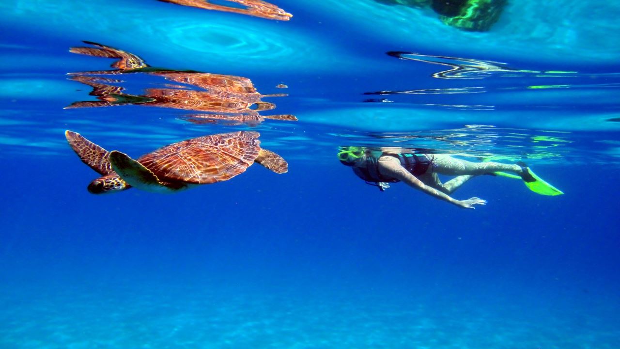 Emerald Coast Trail foto 8