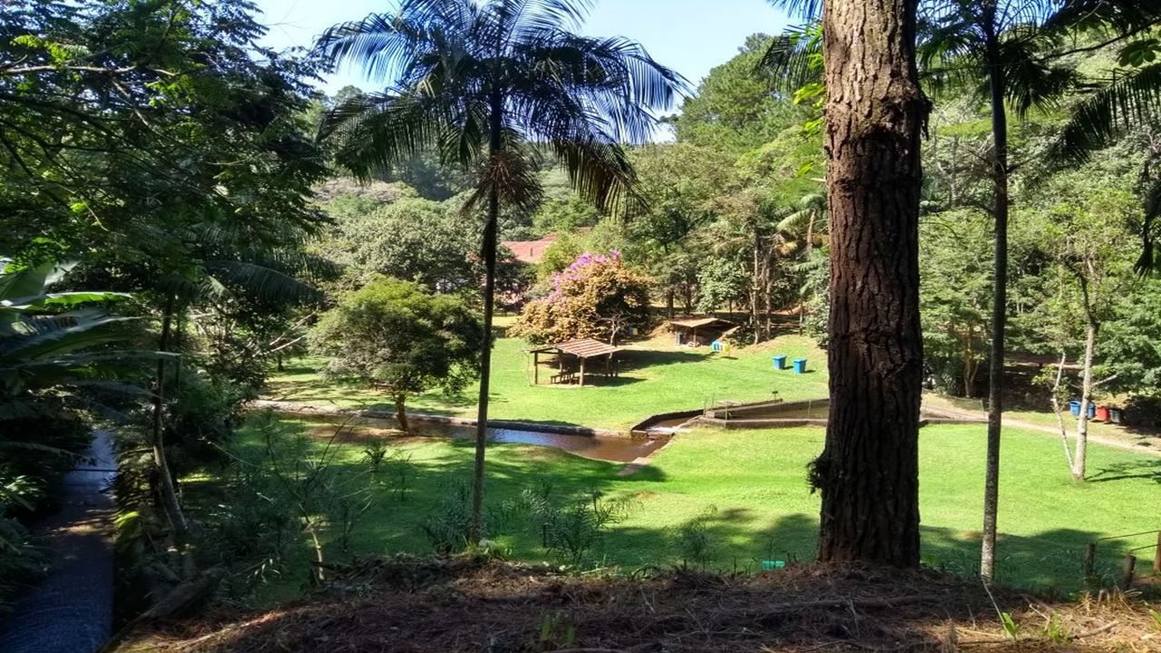 Sendero En La Serra Da Cantareira foto 4