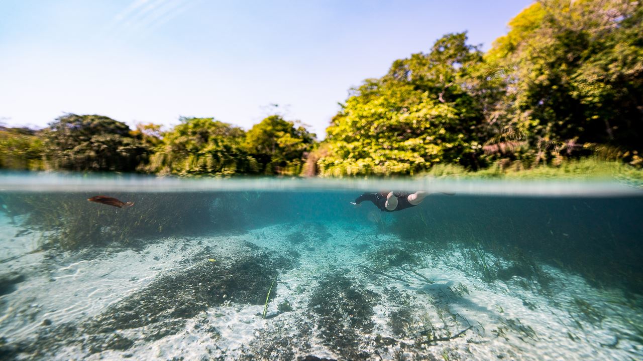 Snorkeling En El Rio Sucuri foto 9