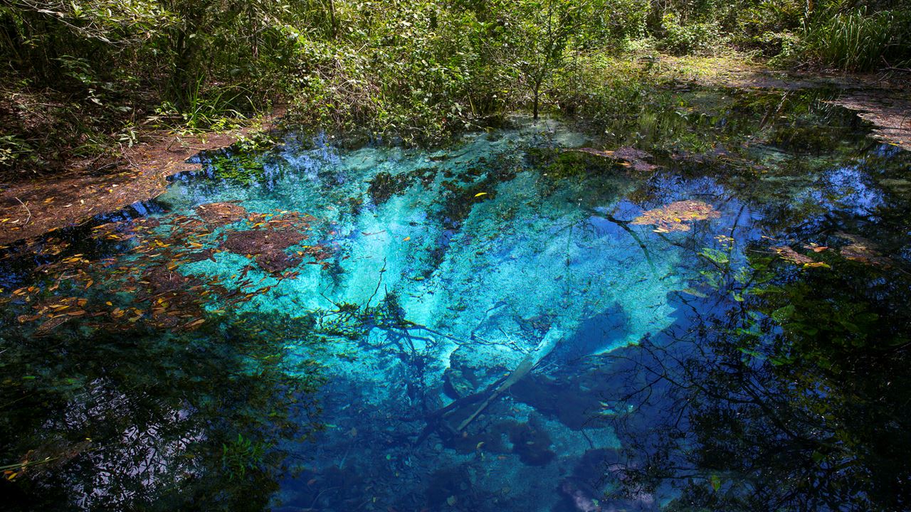 Snorkeling En El Rio Sucuri foto 2