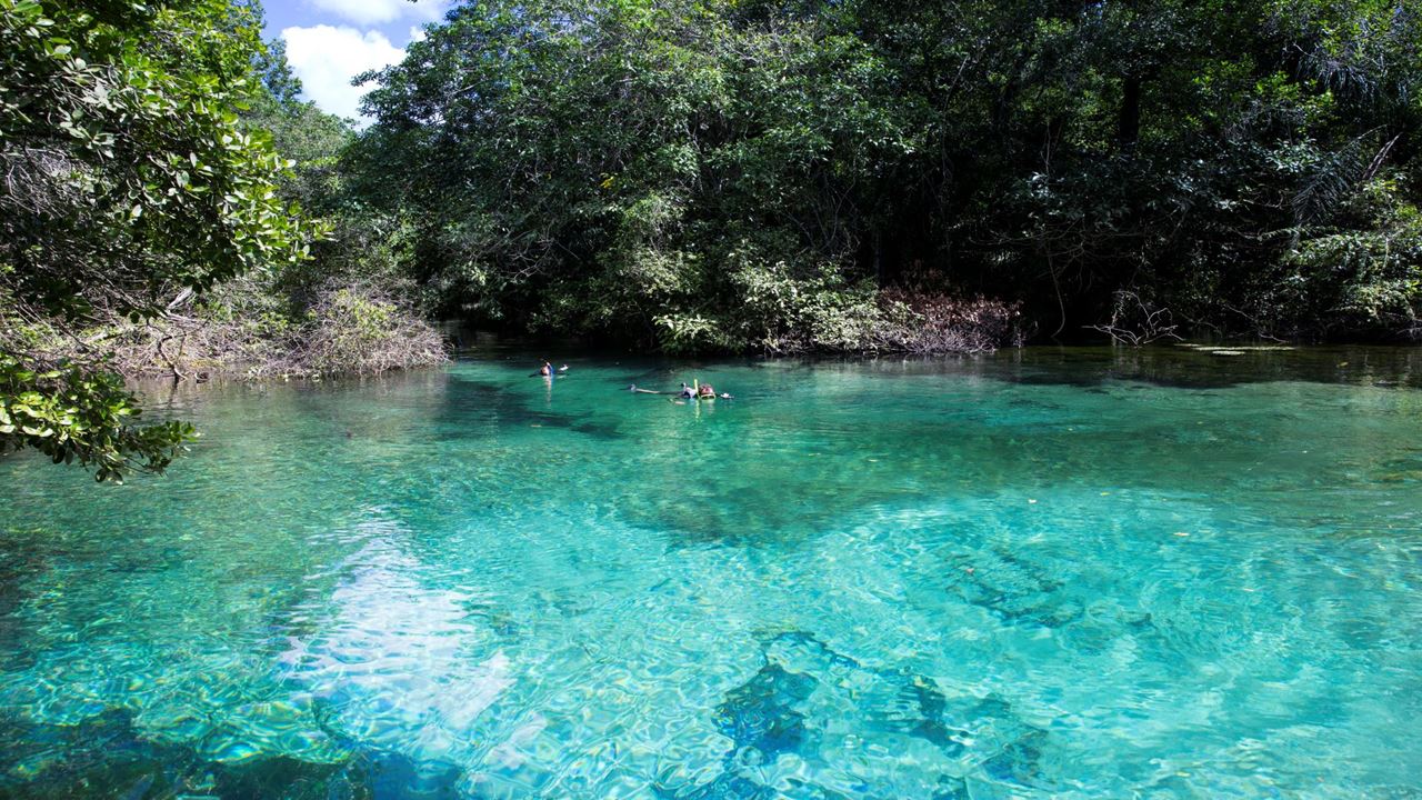 Snorkeling In Rio Da Prata foto 6